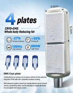 3 in 1 Multifunctional 10d Green Laser Ems Cool Pads for Body Slimming Machine Weight Loss ABS Stainless Steel Commercial Home Use