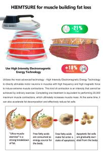 3 in 1 Multifunctional 10d Green Laser Ems Cool Pads for Body Slimming Machine Weight Loss ABS Stainless Steel Commercial Home Use