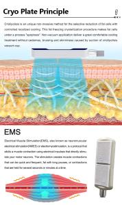 3 in 1 Multifunctional 10d Green Laser Ems Cool Pads for Body Slimming Machine Weight Loss ABS Stainless Steel Commercial Home Use