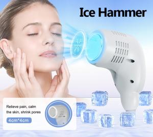 InMedor MF-168 RF Microneedling Machine-Professional Stationary Skin Firming Stretch Mark Removal for Skin (EU/US Plug)