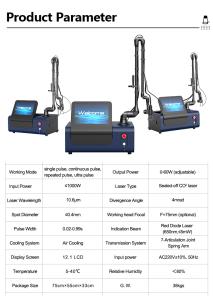 Portable Co2 Franctional Laser For Anti-Aging Skin Rejuvenation