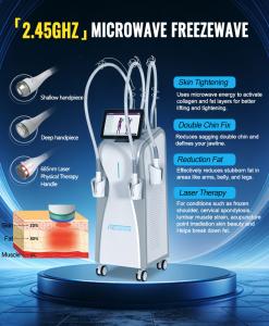 Hot Sale Freezewaves Body Contouring Machine Microwave Technology Fat Loss Skin Tightening