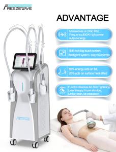 Hot Sale Freezewaves Body Contouring Machine Microwave Technology Fat Loss Skin Tightening