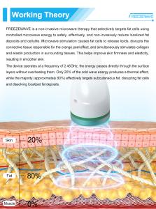 Hot Sale Freezewaves Body Contouring Machine Microwave Technology Fat Loss Skin Tightening