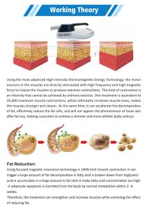 Newest 2 in 1 Muscle Building Cellulite Massage Muscle Sculpt Machine