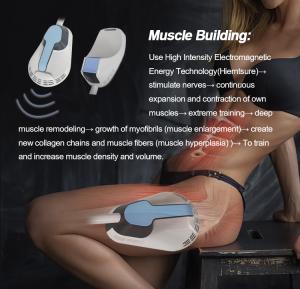 Newest 2 in 1 Muscle Building Cellulite Massage Muscle Sculpt Machine