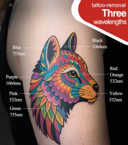 Desktop Picolaser Machine for Tattoo Removal Pigment Removal 532/755/1064nm