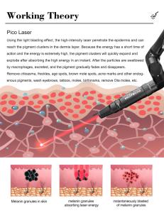 Vertical Picosecond 755nm 808nm 1064nm Picolaser Nd Yag Freckle Tattoo Removal Machine