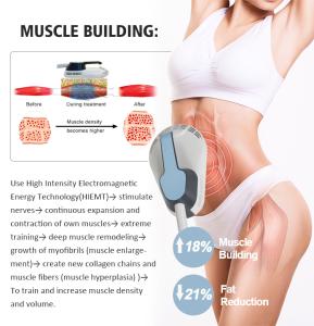 Non-invasive 10D+EMS 532nm Cellulite Removal Body Slimming Lipo Laser Machine XM-227 PLUS