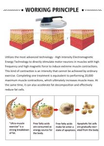 Non-invasive 10D+EMS 532nm Cellulite Removal Body Slimming Lipo Laser Machine XM-227 PLUS