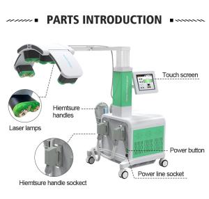 Non-invasive 10D+EMS 532nm Cellulite Removal Body Slimming Lipo Laser Machine XM-227 PLUS