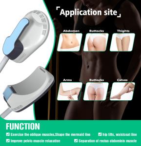 2 in 1 XM-87 Beir Fat Reduction 10d Green Laser + Ems Multi-functional Body Slimming Machine Spa Clinic Use