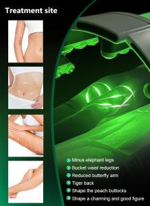 2 in 1 XM-87 Beir Fat Reduction 10d Green Laser + Ems Multi-functional Body Slimming Machine Spa Clinic Use