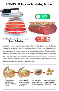 2 in 1 XM-87 Beir Fat Reduction 10d Green Laser + Ems Multi-functional Body Slimming Machine Spa Clinic Use