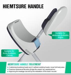 2 in 1 XM-87 Beir Fat Reduction 10d Green Laser + Ems Multi-functional Body Slimming Machine Spa Clinic Use