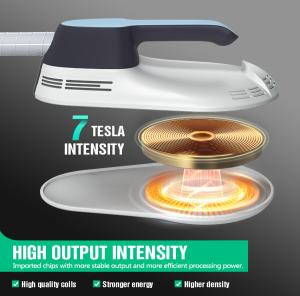 2 in 1 XM-87 Beir Fat Reduction 10d Green Laser + Ems Multi-functional Body Slimming Machine Spa Clinic Use