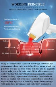 Dl-867 Vertical Hair Removal Machine 3 Wavelengths Permanent Hair Loss Machine for Reselling Clinic Use