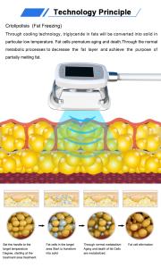 Fat Freezing Weight Loss Cellulite Removal Cool Therapy Big Handles 360 Cryo Slimming Machine