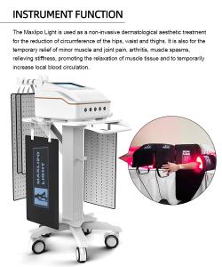 HS-268 5D MAXLIPO Led for Weight Loss and Pain Therapy with Dual Wavelength 650nm & 940nm