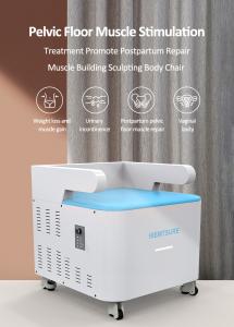 MS-11 High Intensity Electromagnetic Chair Pelvic Floor Muscle Postpartum EMS Vaginal Tightening Beauty Machine