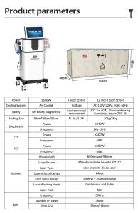 Sw685 Shockwave Therapy Machine for Human and Physical Therapy Pain Relief Focused Shock Wave Equipment Clinical Use