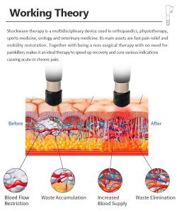 SW267 Newest Shock Wave Therapy Device Physical Therapy Shockwave Machine for Pain Relief