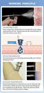 Dermabrasion 16 in 1 Oxygen Jet Hydro Salon Facials Machine Aqua Peeling Beauty Face Equipment Facial Machine Spa909H