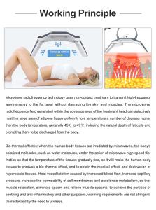 Non Invasive Body Lifting Slimming Machine Microwave Radio Frequency Technology Painless Lipolysis Body Shaping Weight Loss