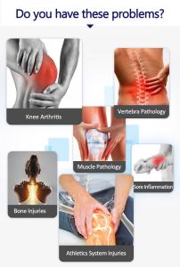 PEMF Magnetic Therapy Device Electromagnetic Physio Magneto Pain Relief Non-Invasive Physical Therapy Equipment Mt-72