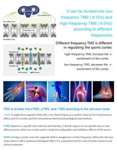 PEMF Magnetic Therapy Device Electromagnetic Physio Magneto Pain Relief Non-Invasive Physical Therapy Equipment Mt-72