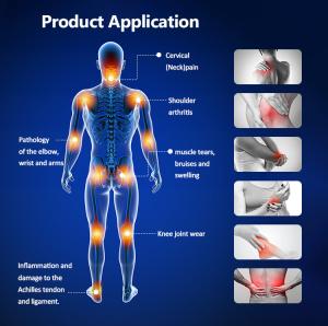 TERAPIA Electromagnetic Transduction Body Therapy Magnetic Two Handles Simultaneously Work Mt-687