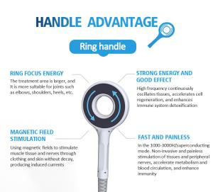 TERAPIA Electromagnetic Transduction Body Therapy Magnetic Two Handles Simultaneously Work Mt-687