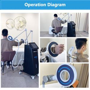 TERAPIA Electromagnetic Transduction Body Therapy Magnetic Two Handles Simultaneously Work Mt-687