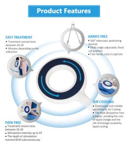 TERAPIA Electromagnetic Transduction Body Therapy Magnetic Two Handles Simultaneously Work Mt-687