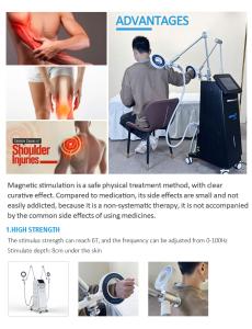 TERAPIA Electromagnetic Transduction Body Therapy Magnetic Two Handles Simultaneously Work Mt-687