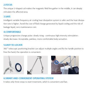 TERAPIA Electromagnetic Transduction Body Therapy Magnetic Two Handles Simultaneously Work Mt-687