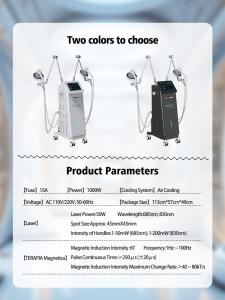Double Handles TERAPIA LASER& Electro-magnetic Transduction Therapy Magnetic Equipment Mt-682