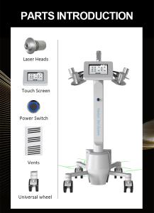 6d Non-invasive Laser 532/635nm Equipment Fat Removal Body Contouring Machine Xm-685