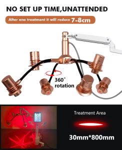 6d Laser & EMS+RF Maxsculpt Shape Body Slimming Skin Care with 2 Face Probe Machine Xm-685 Plus