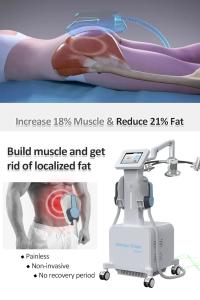 10d Maxlipo Cold Laser 532nm 635nm with Ems Muscle Building Cellulite Reduction Body Slimming E Green Laser