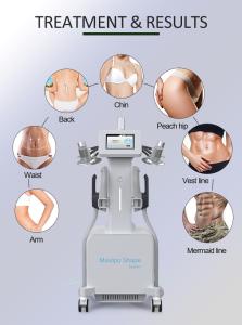 10d Maxlipo Cold Laser 532nm 635nm with Ems Muscle Building Cellulite Reduction Body Slimming E Green Laser