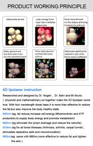 4D 528nm Diode Lipolaser Body Slimming Machine