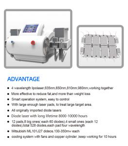 4D 528nm 4 Wavelengths Work Together Diode Lipolaser Body Slimming Machine