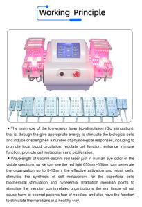 4D 528nm 4 Wavelengths Work Together Diode Lipolaser Body Slimming Machine