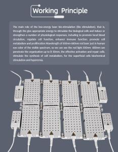 4D 528nm 4 Wavelengths Work Together Diode Lipolaser Body Slimming Machine