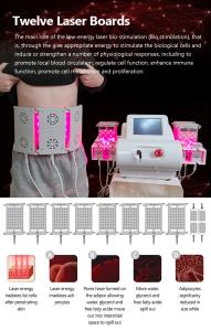 LIPOLASER EMS Laser Pad 4 Wavelengths 635nm 650nm 940nm 980nm Body Slimming Machine