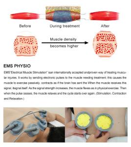 3 in 1 SWTLIPO Shockwave and EMS and Pressotherapy for Body  Therapy and Leg Massage Machine
