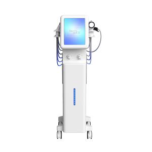 Skin Care Machine for Beauty Clinics Oxygen Facial Machine Deep Pore Cleansing Skin Whitening SPA M39